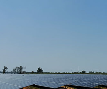 Sterling and Wilson Solar - 75 MWp Project Mirza, Uttar Pradesh, India