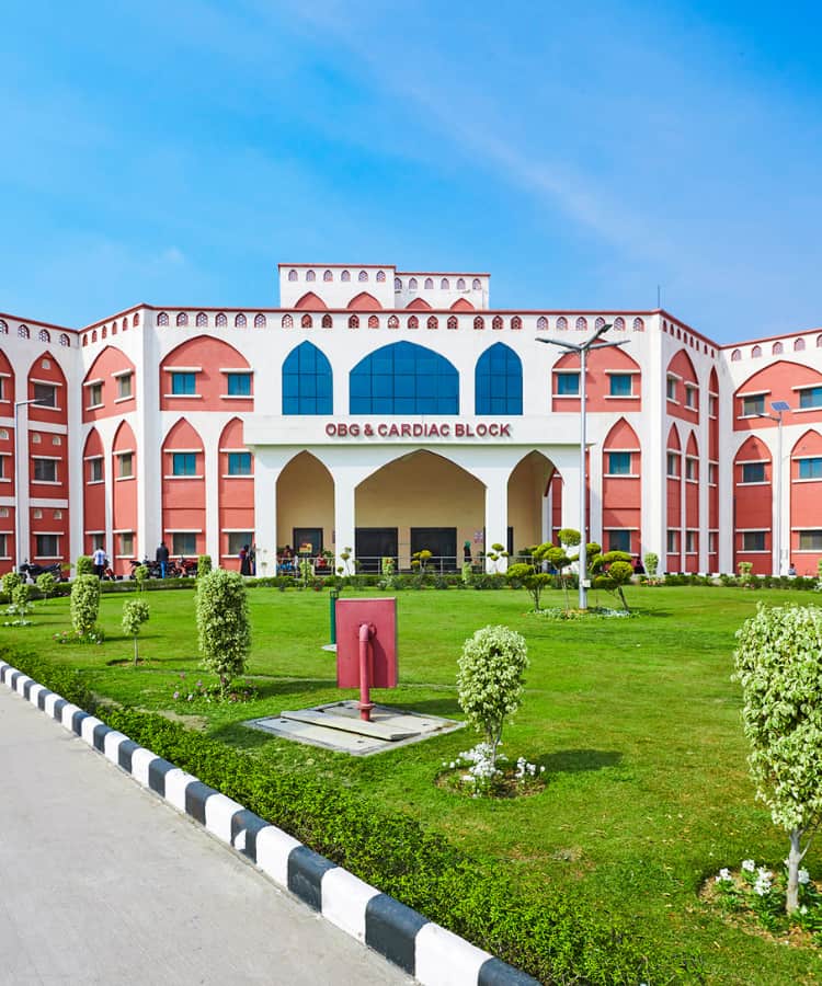 Sterling & Wilson Construction & Engineering