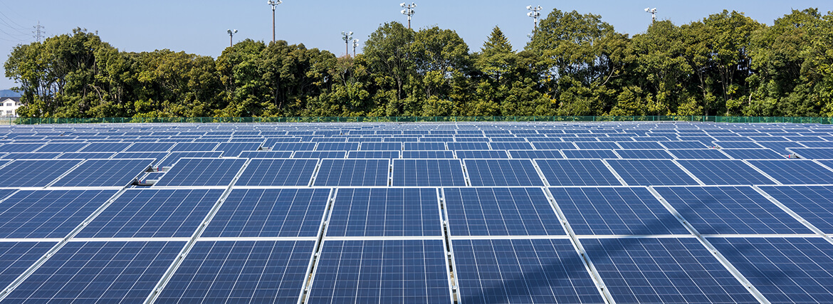 Sterling & Wilson Solar EPC